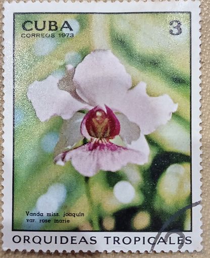 Куба 1973. Флора. Цветы. Тропические орхидеи. Марка из серии
