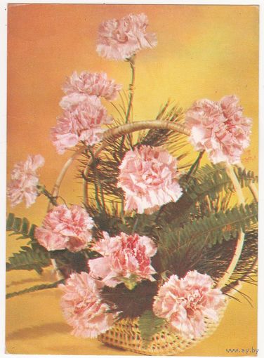 Открытка 1976 (420)
