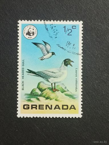 Гренада 1978. Дикие птицы Гренады