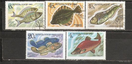 АКС СССР 1983 Рыбы