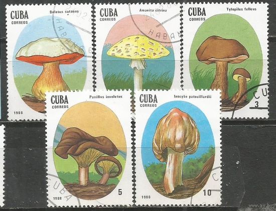 Куба. Грибы. 1988г. 5 марок.