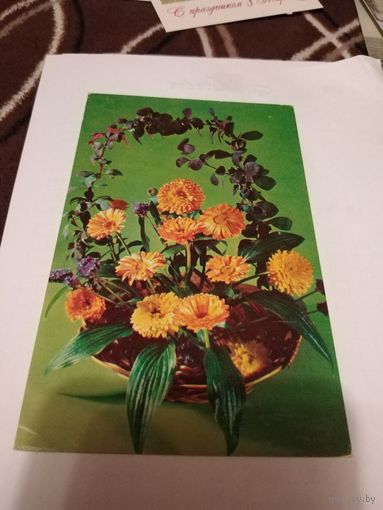 Открытка 1975г.