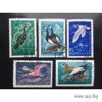 Марка СССР 1972.4092-4096. Пернатые. Серия 4092-4096. гашеные.