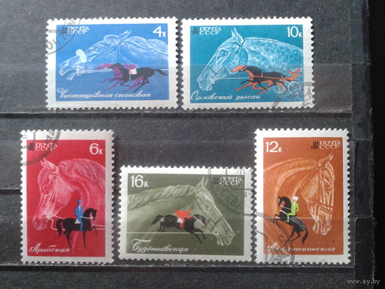1968 Конный спорт Полная серия
