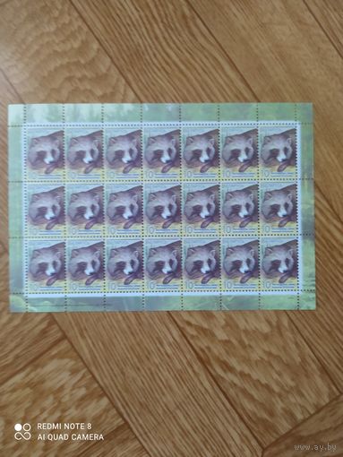 Беларусь малый лист 2008 г. Стандартный выпуск.