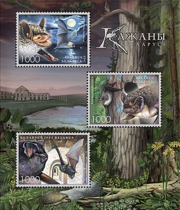 Блок 51 "Летучие мыши"