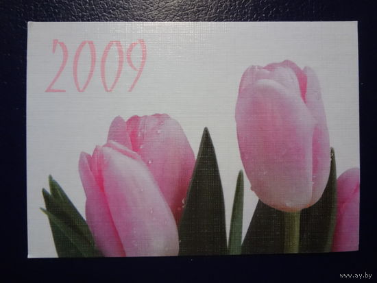 Календарик 2009 г. СОЖ (Гомель). Тюльпаны.