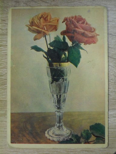 ПОДПИСАННАЯ ОТКРЫТКА СССР. "РОЗА В БОКАЛЕ" ФОТО. И.  ШАГИНА. 1960 ГОД.