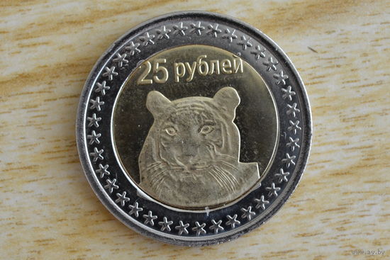 Чечня 25 рублей 2013