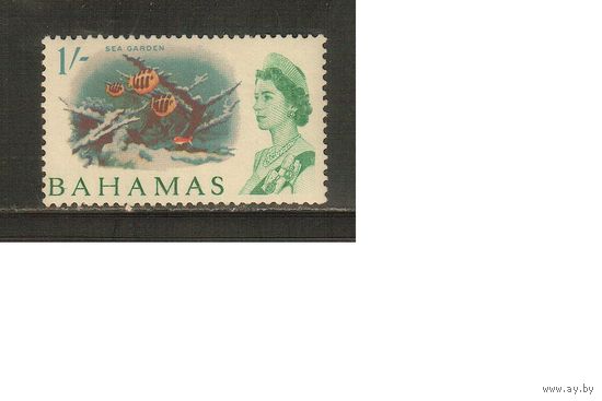 Багамы-1965(Мих.218) , *  , Морская  Фауна, Рыбы,