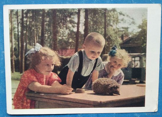 Становов А. Юные натуралисты. 1962 г. ПК. Прошла почту.