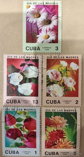 Куба 1988. Флора. Цветы