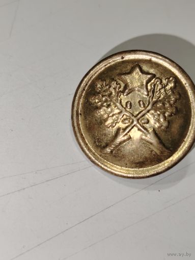 Пуговица Лесника?
