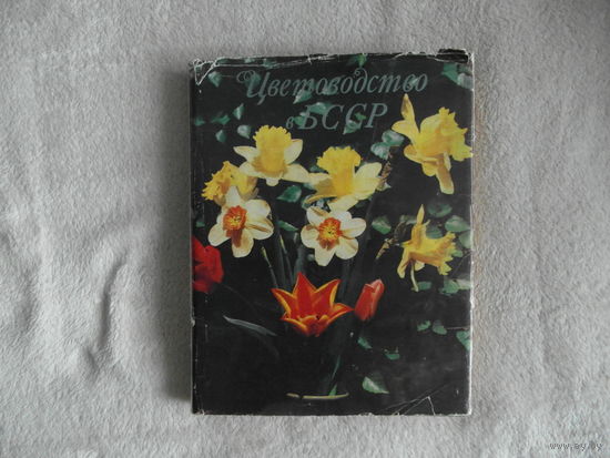 Кудрявцева В. М. Цветоводство в БССР. 1981 г. В супере.