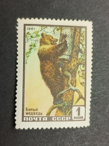 1961 СССР. Фауна СССР. Медведь