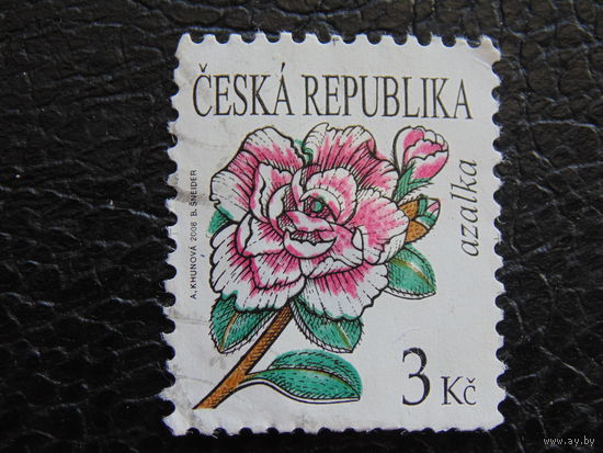 Чехия 2008 г. Флора.