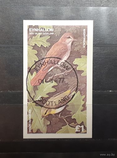 Эйнхаллоу. 1977 год. Фауна. Птицы. Блок беззубцовка (388)