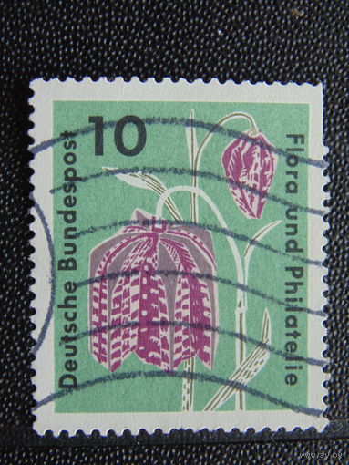 Германия. Флора.