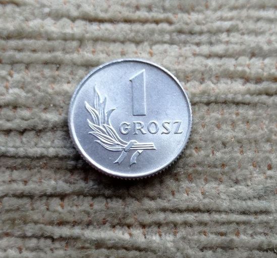 Werty71 Польша 1 грош 1949 Блеск