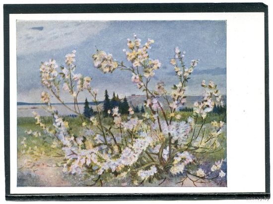 М.В. Новиков. Весна над вечной мерзлотой. Изд.1958