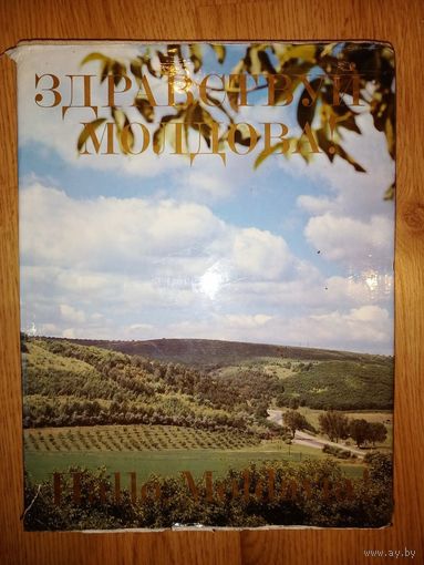 Книга -фотоальбом Здравствуй, Молдова