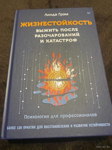 Жизнестойкость. Выжить после разочарований и катастроф / психология и саморазвитие