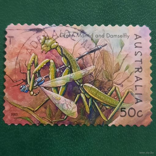Австралия 2003. Богомол