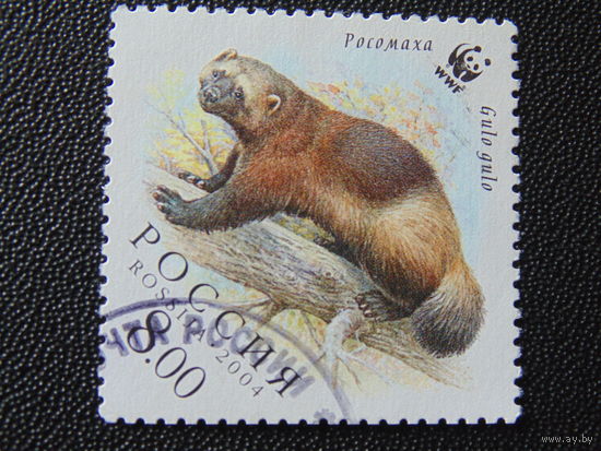 Россия 2004 г. Росомаха.