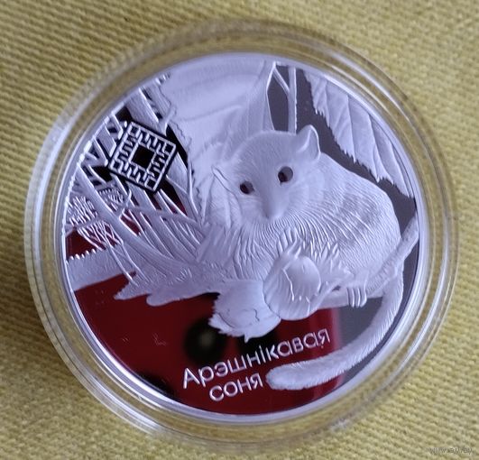 Заказник, "Свіцязянскі", Свитезянский, 2022г.