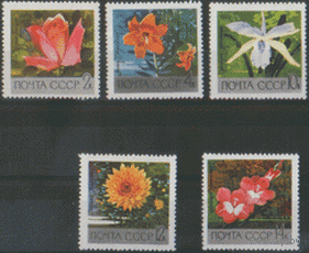 Заг. 3674/78. 1969. Флора. Главный ботанический сад АН в Москве. ЧиСт.