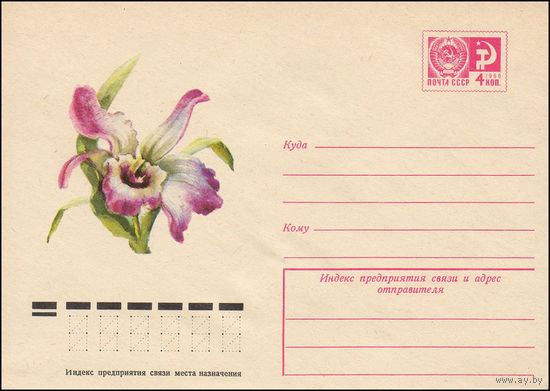 Художественный маркированный конверт СССР N 9709 (13.05.1974) Дендробиум благородный
