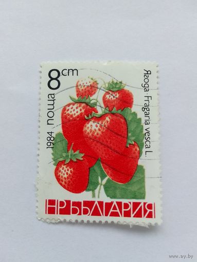 Марки  Ягода  Болгария  1984   1 шт. -  0,30 руб.
