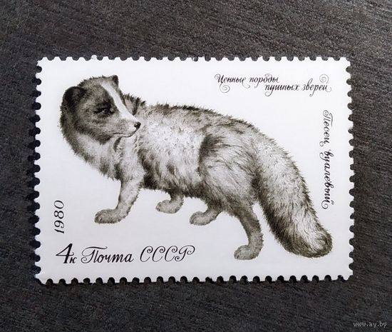 Марка СССР 1980 год Пушные звери