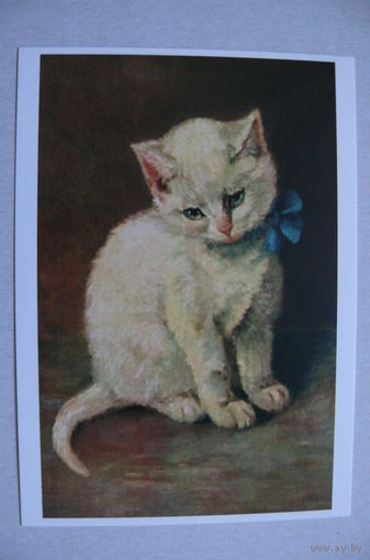Художник Стокс М., Кошка (репринт), чистая (серия "Коллекция ретро-открыток").