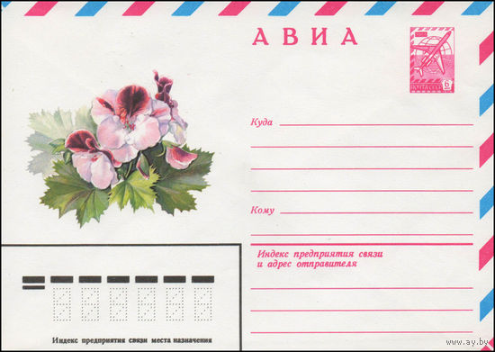 Художественный маркированный конверт СССР N 14059 (15.01.1980) АВИА  Пеларгония