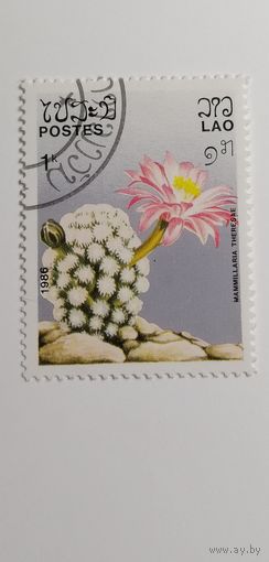 Лаос 1986. Кактусы