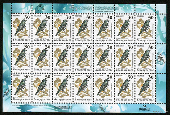 Беларусь. 2006. Стандарт. Мухоловка (30р) (з.71-2006) лист 7х3