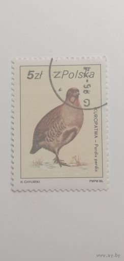 Польша 1986. Звери
