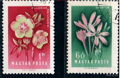 ВЕНГРИЯ 1958 ФЛОРА ЦВЕТЫ