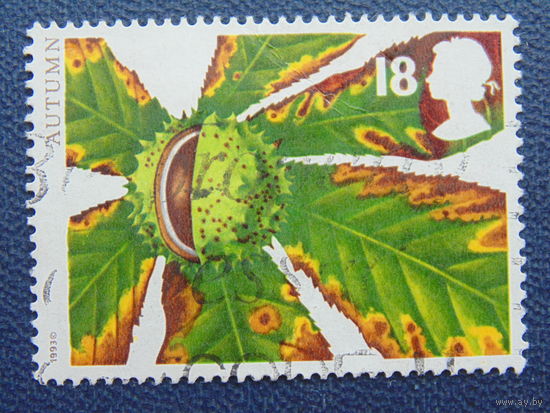 Великобритания 1993 г. Каштан.