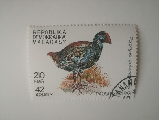 Мадагаскар 1991. Птицы.