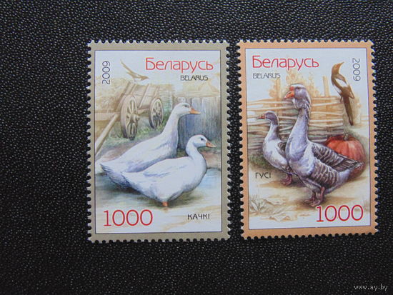 Беларусь 2009 г. Домашняя птица. Полная серия.