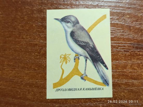 Спичечная этикетка Дроздовидная Камышевка