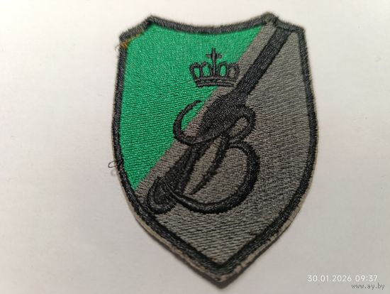 Шеврон 9 бронекавалерийской бригады Войска Польского