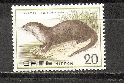 ФФ1 Япония 1974 Выдра