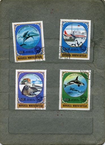 МОНГОЛИЯ, 1980,  ФАУНА АНТАРКТИКИ, 4м  ( справочно приведены номера и цены по Michel)