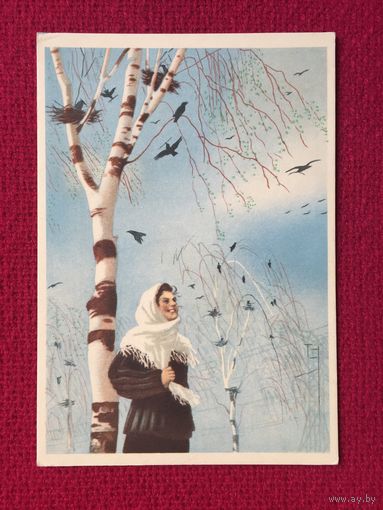 Весна. Караченцов 1955 г. Чистая.