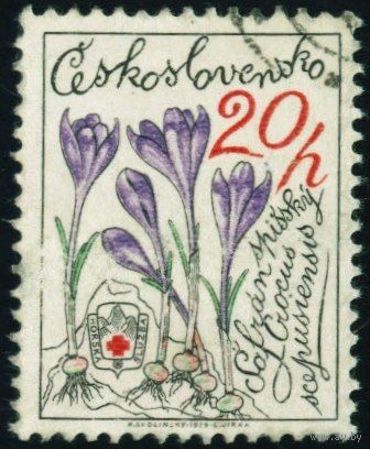 25-летие горноспасательной службы. Горные цветы Чехословакия 1979 год 1 марка
