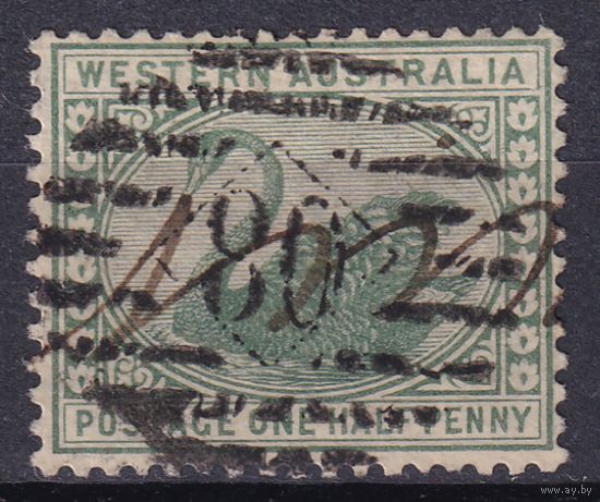 144а.Aust. Великобритания. Австралийские штаты. Западная Австралия. Чёрный лебедь. Стандарт. 1885 г. 1/2p. Mi.#30.