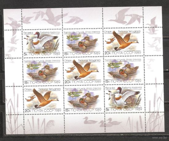 ФФ1 СССР 1989 Утки